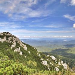 Gorski kotar 393 ferieboliger