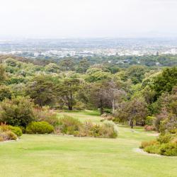 Cape Town Southern Suburbs