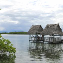 Bocas del Toro 15 hostels