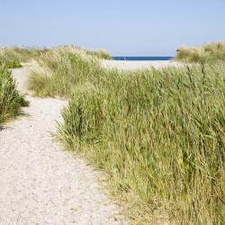 Isla de Fehmarn 400 cabañas y casas de campo