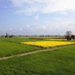 Punjab