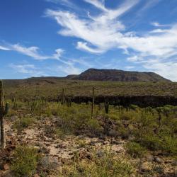 Baja California