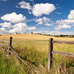 Northamptonshire