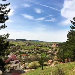 Pernik Province 5 гостевых домов