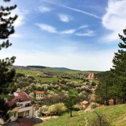 Pernik Province  9 ferieboliger