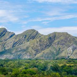 Tolima 33 country houses