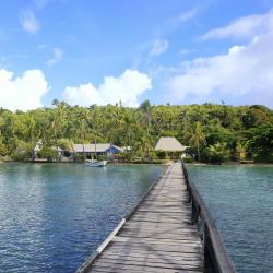 Viti Levu 112 holiday rentals