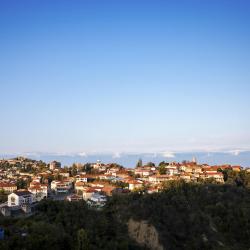 Kakheti 9 hostels