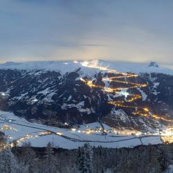 Wildkogel Arena