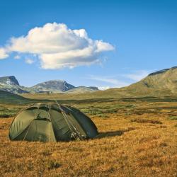 Dovrefjell
