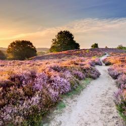 Hoge Veluwe National Park