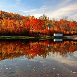 White Mountains