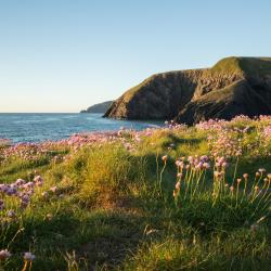 Pembrokeshire