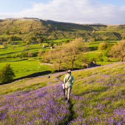North Yorkshire