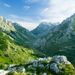 Picos de Europa