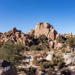 Národní park Joshua Tree