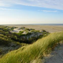 Borkum