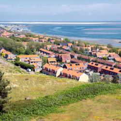 Vlieland 4 beach rentals