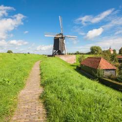 Noord-Brabant 5 farm stays