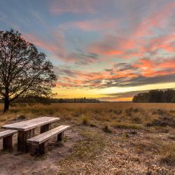 Drenthe