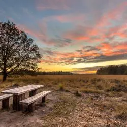Drenthe