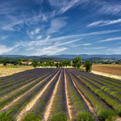 Provence-Alpes-Côte d'Azur