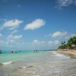 Alagoas 48 cabins