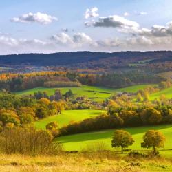 Surrey