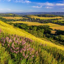 West Sussex