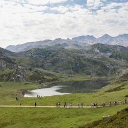 Asturias 4133 cheap hotels