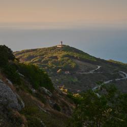 Giglio Island 6 B&Bs