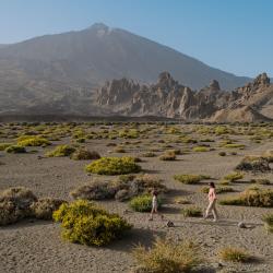 Isole Canarie