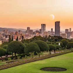 Gauteng