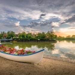 Donaudelta
