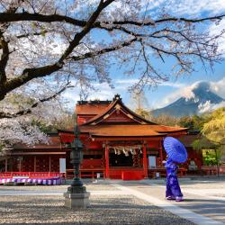 Mount Fuji 