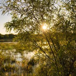 Dinokeng Game Reserve 29 hotels with parking