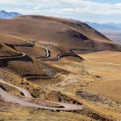 Salta Province