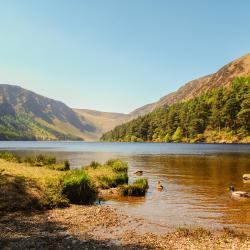 Wicklow County