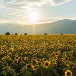 Stara Zagora Province  11 romantic hotels
