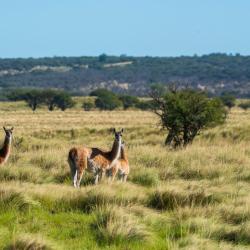La Pampa