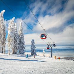 Poiana Brasov