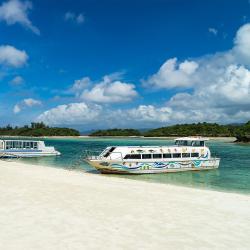 Okinawa Island - North  36 resor