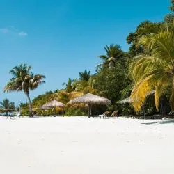 Ari Atoll 194 guest houses