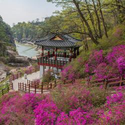 Gangwon-Do