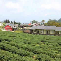 Yunlin County