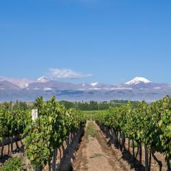 Uco Valley
