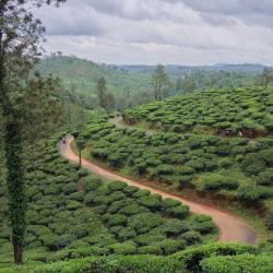 Wayanad 155 of the holiday rentals