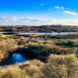 Dutch Coast 3 all-inclusive stays