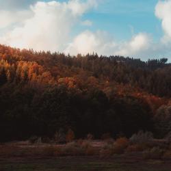 Harz 12 