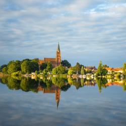 Distrito de los Lagos de Mecklenburg 90 